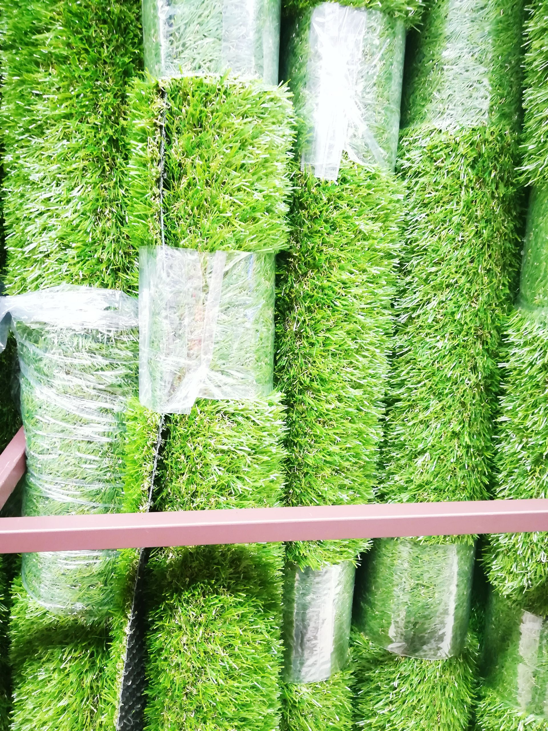 A bunch of green plants are stacked on top of each other on a shelf.