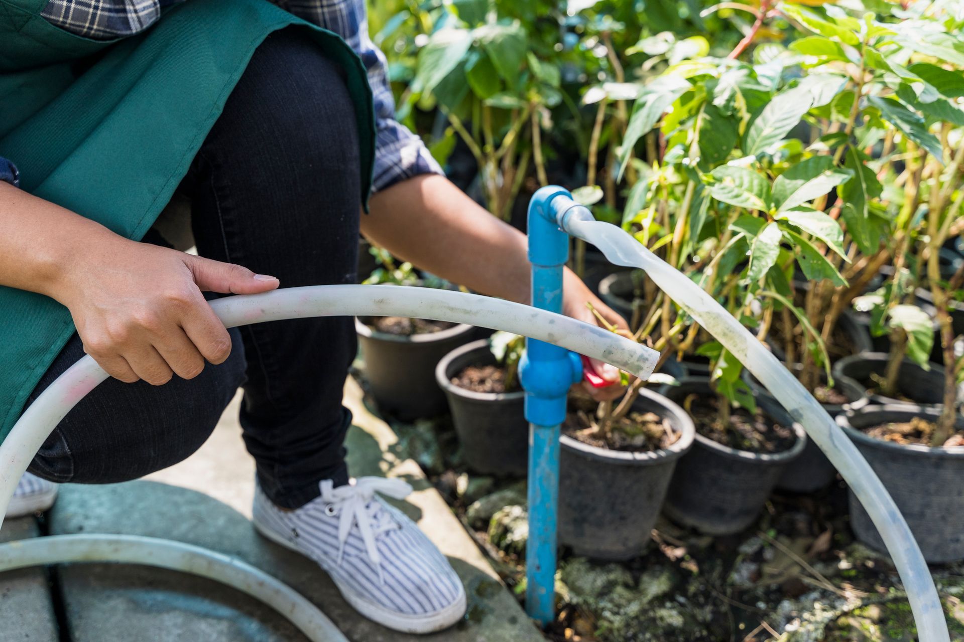 A person is using a hose to water potted plants.