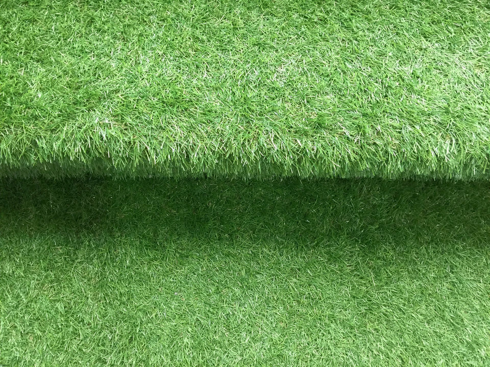 A close up of a piece of green grass.