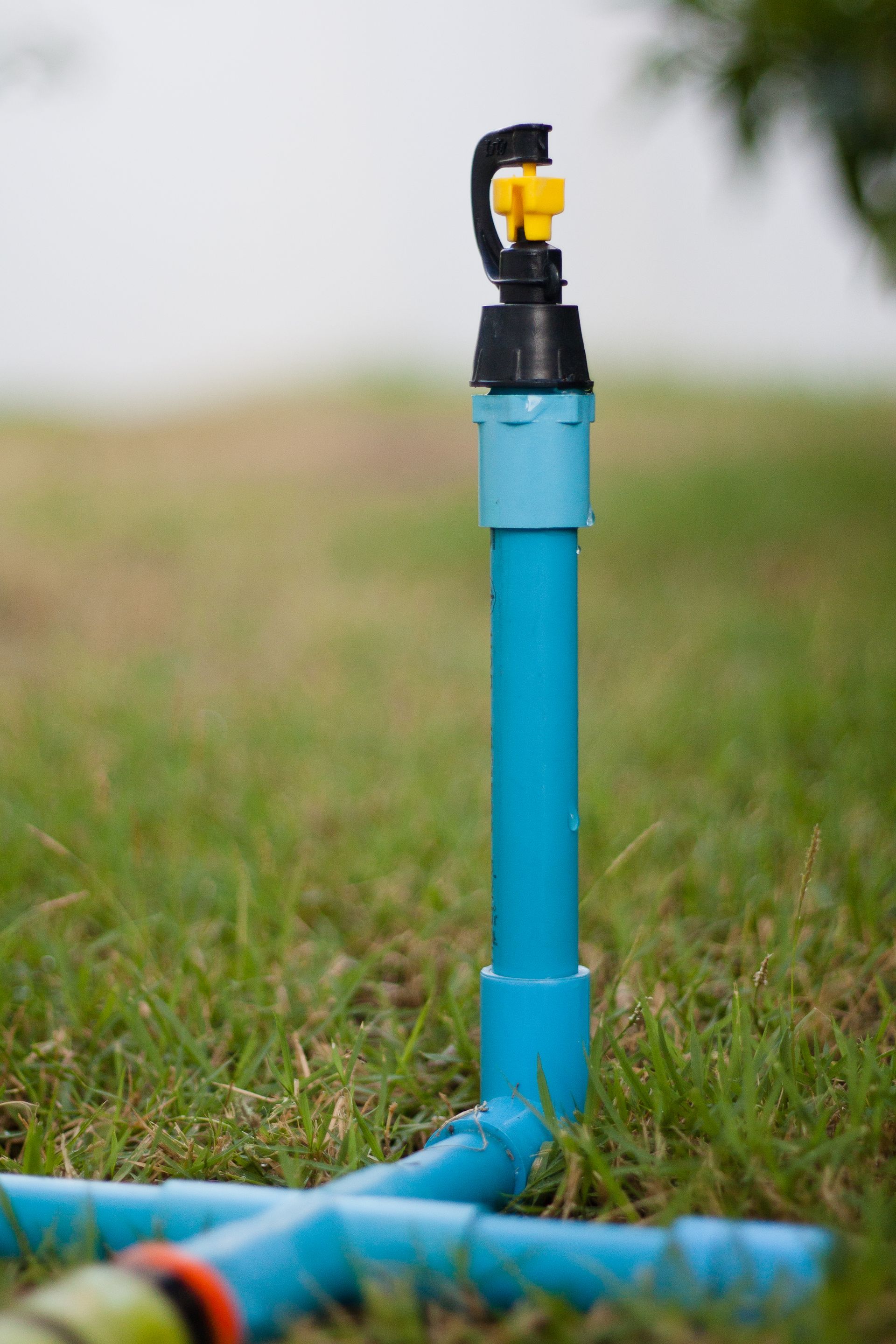A sprinkler is sitting on top of a blue pipe in the grass.