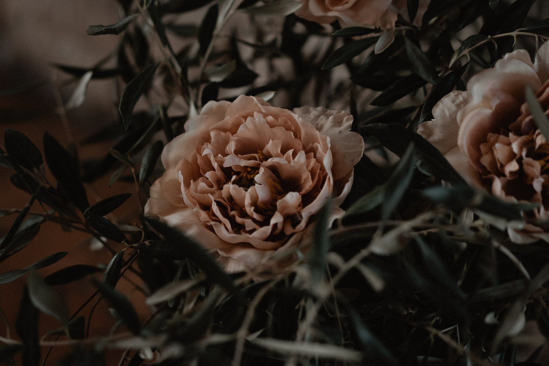 Peonie color crema con foglie e steli verde scuro; una composizione floreale.