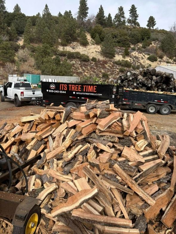A large pile of split firewood sits in the foreground with a 