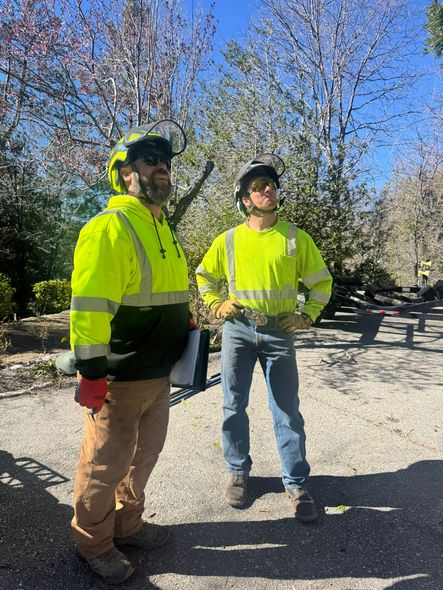 Two workers in high-visibility yellow jackets and hard hats stand on a gravel path, looking up at the trees.