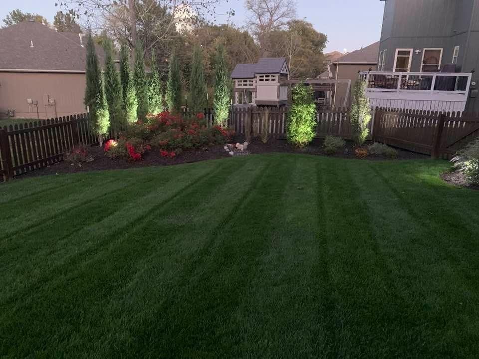 A backyard with a lush green lawn and a wooden fence.