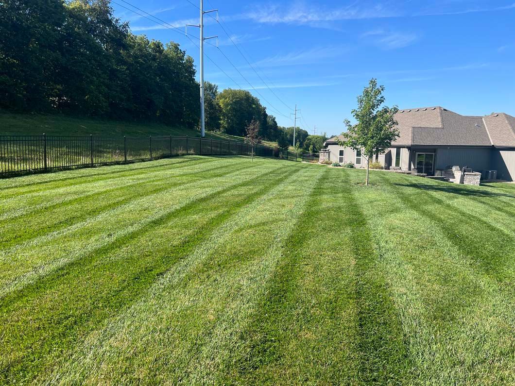 A lush green lawn with a fence in the background and a house in the background.