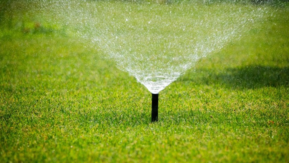 A sprinkler is spraying water on a lush green lawn.