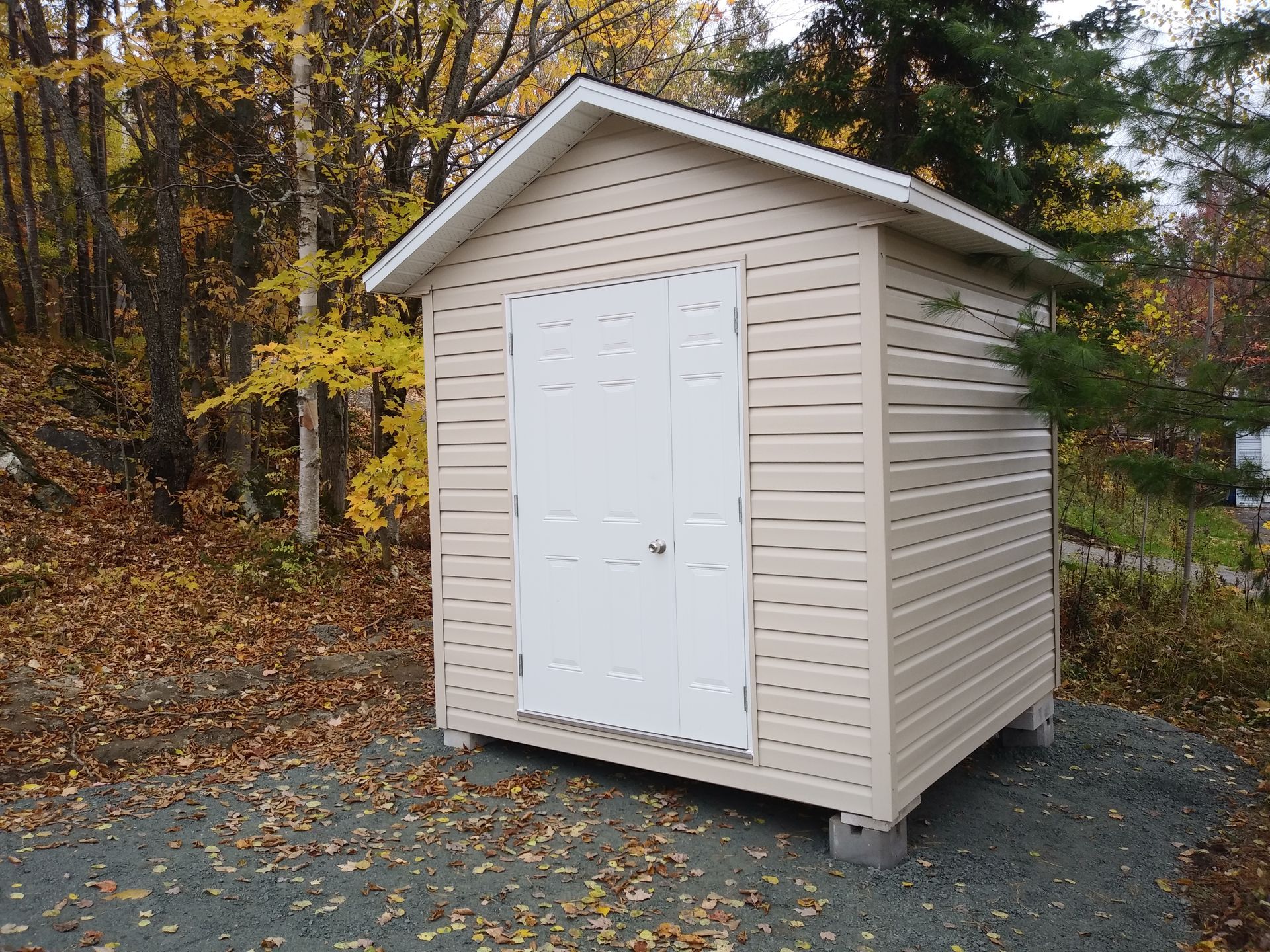 Abri de jardin beige avec porte blanche dans une zone boisée aux feuilles d'automne.