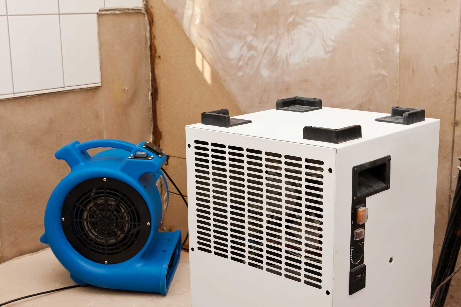 Elimination of water damage with dryer and fan.