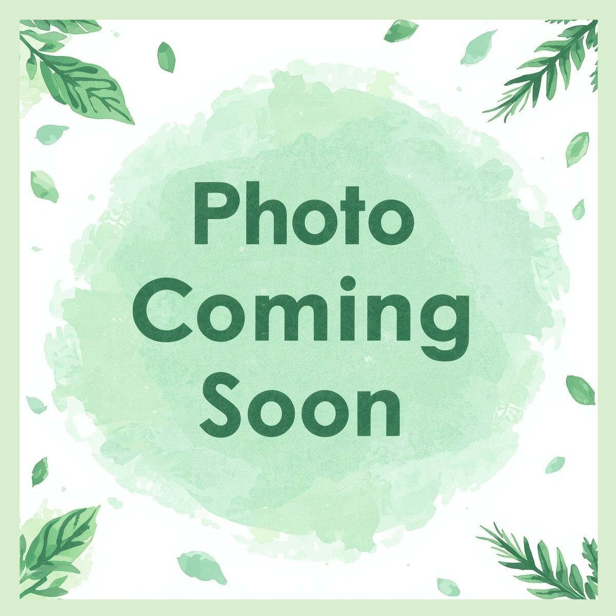 Laundry detergent Powder