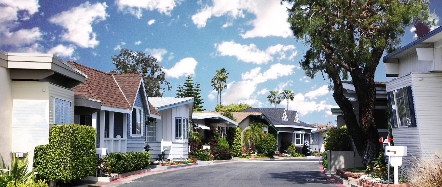 Row of Modular Homes on Street in Bayside Village Mobile Home Park