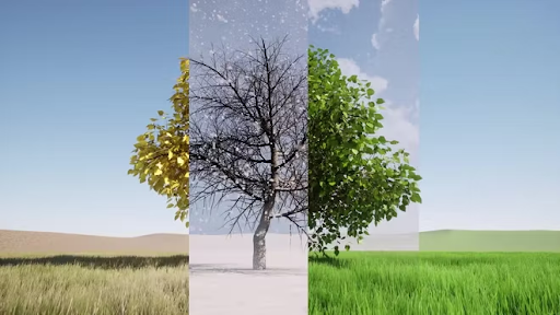 a tree is shown in four different seasons .