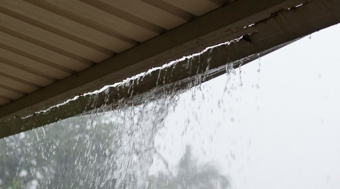 Leaky Roof and Gutters