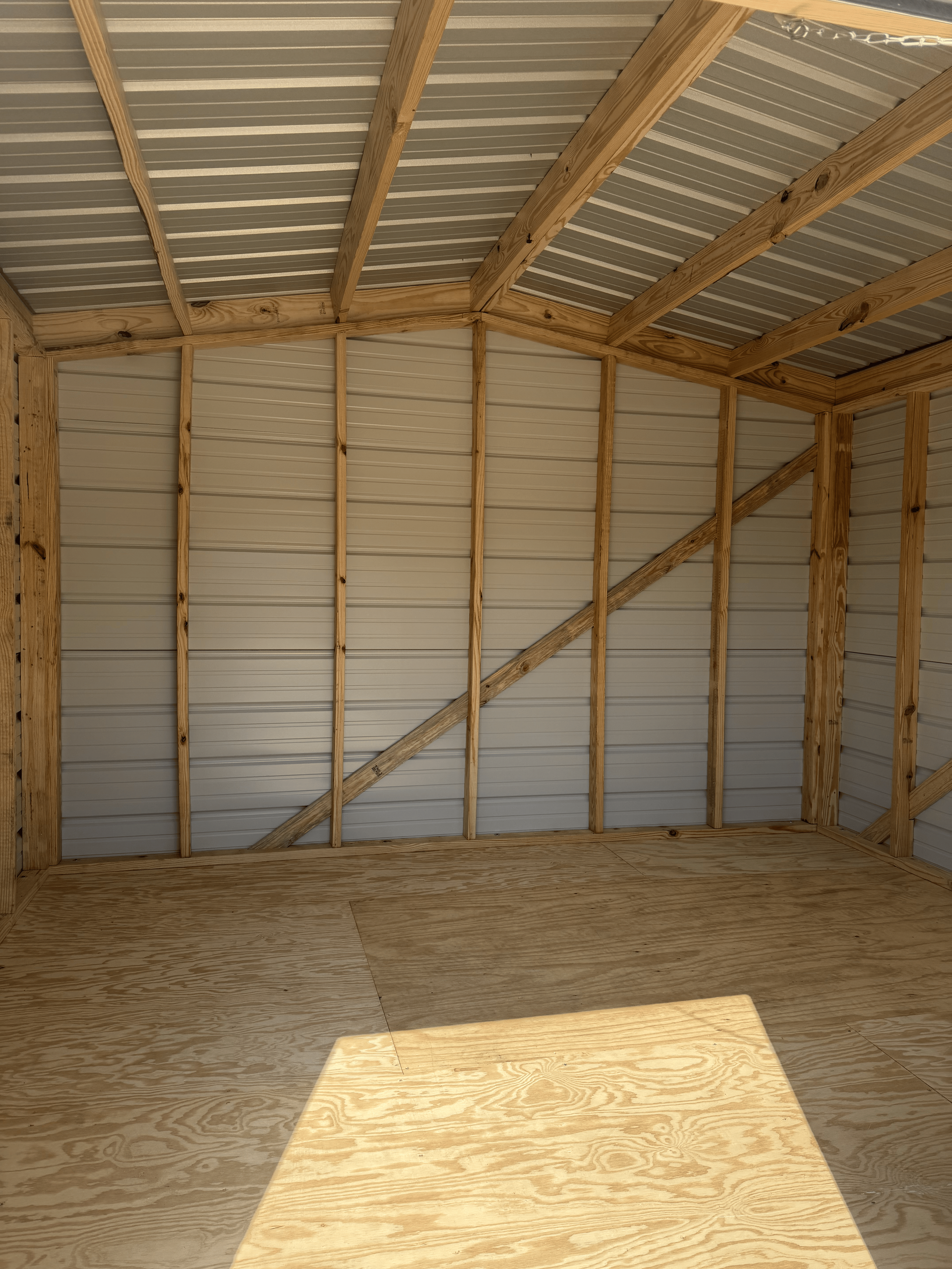 Empty unfinished wooden shed interior with plywood walls, exposed rafters, and sunlight on the floor