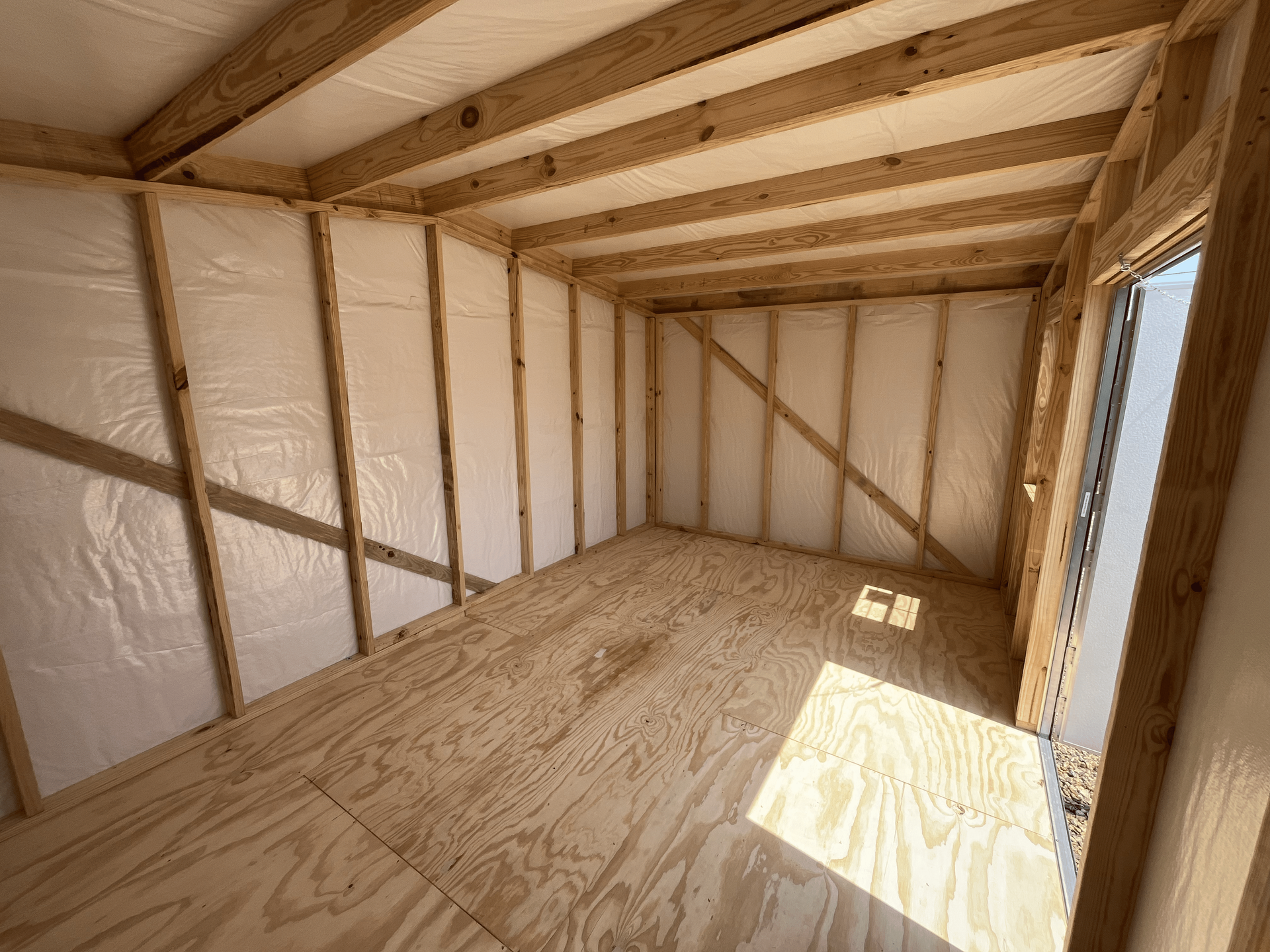 Empty unfinished wooden shed interior with exposed framing and plywood floor, sunlight streaming in from one side