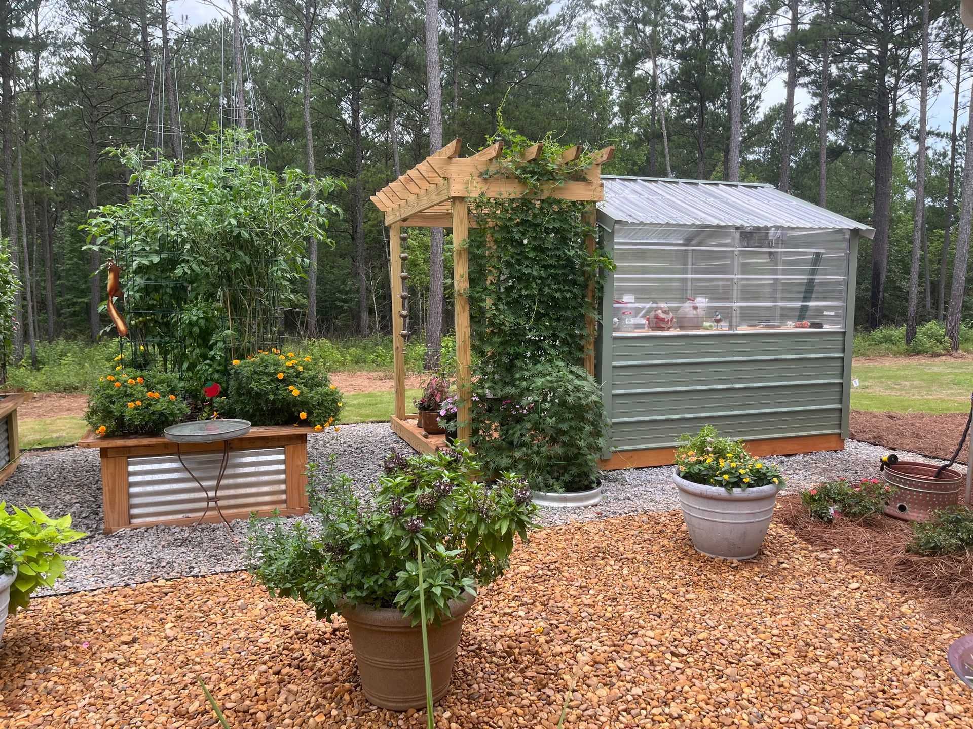 Garden with greenhouse, wooden arbor, potted plants, gravel path, and woodsy backdrop.