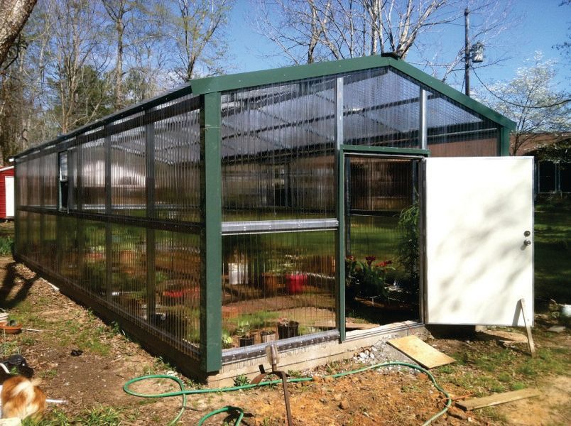A greenhouse with a door open and a dog standing in front of it.