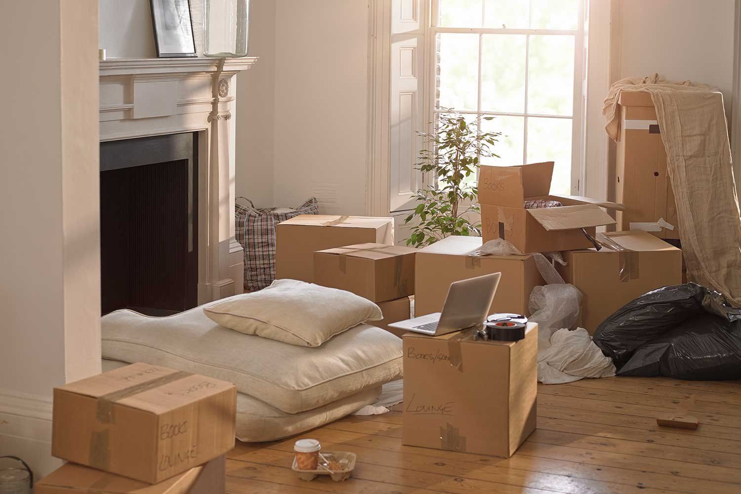 A Living Room Filled with Cardboard Boxes and A Laptop — Leader Removals & Storage in Mitchell, ACT