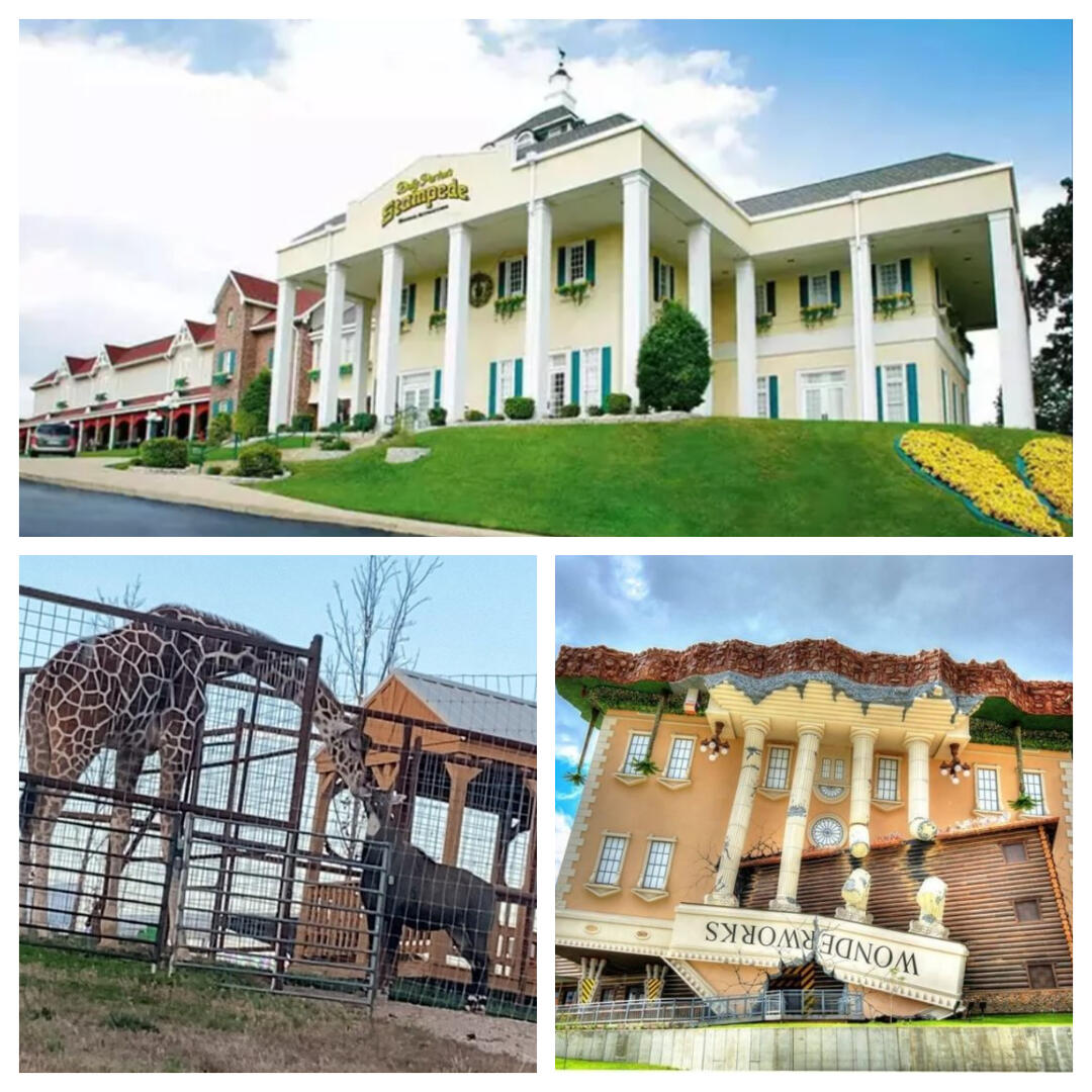 set of buildings and giraffe at the zoo