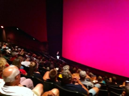 crowd of people sitting in front of a huge Imax screen