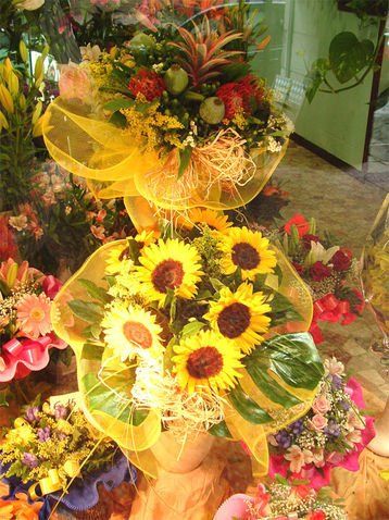 Mazzi di girasoli e altri fiori colorati esposti nella vetrina di un negozio, avvolti in una rete gialla.
