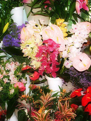 Assortimento colorato di fiori freschi in un negozio di fiori, tra cui orchidee, gigli e anthurium.