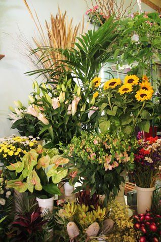 Fiori di vario tipo e colore esposti in un negozio.