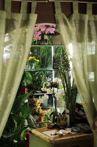 L'esposizione di un negozio di fiori vista attraverso tende verdi trasparenti, con composizioni floreali colorate sugli scaffali.