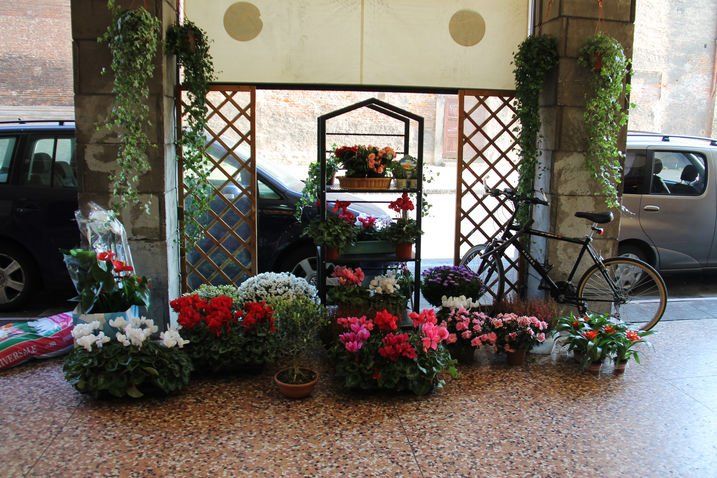 Vetrina di un negozio di fiori con fiori colorati, tralicci, piante sospese e una bicicletta.