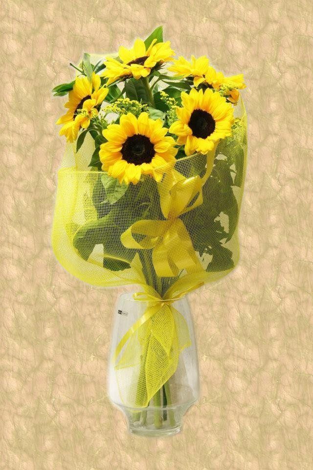 Mazzo di girasoli in un vaso, avvolto in una rete gialla e un nastro.