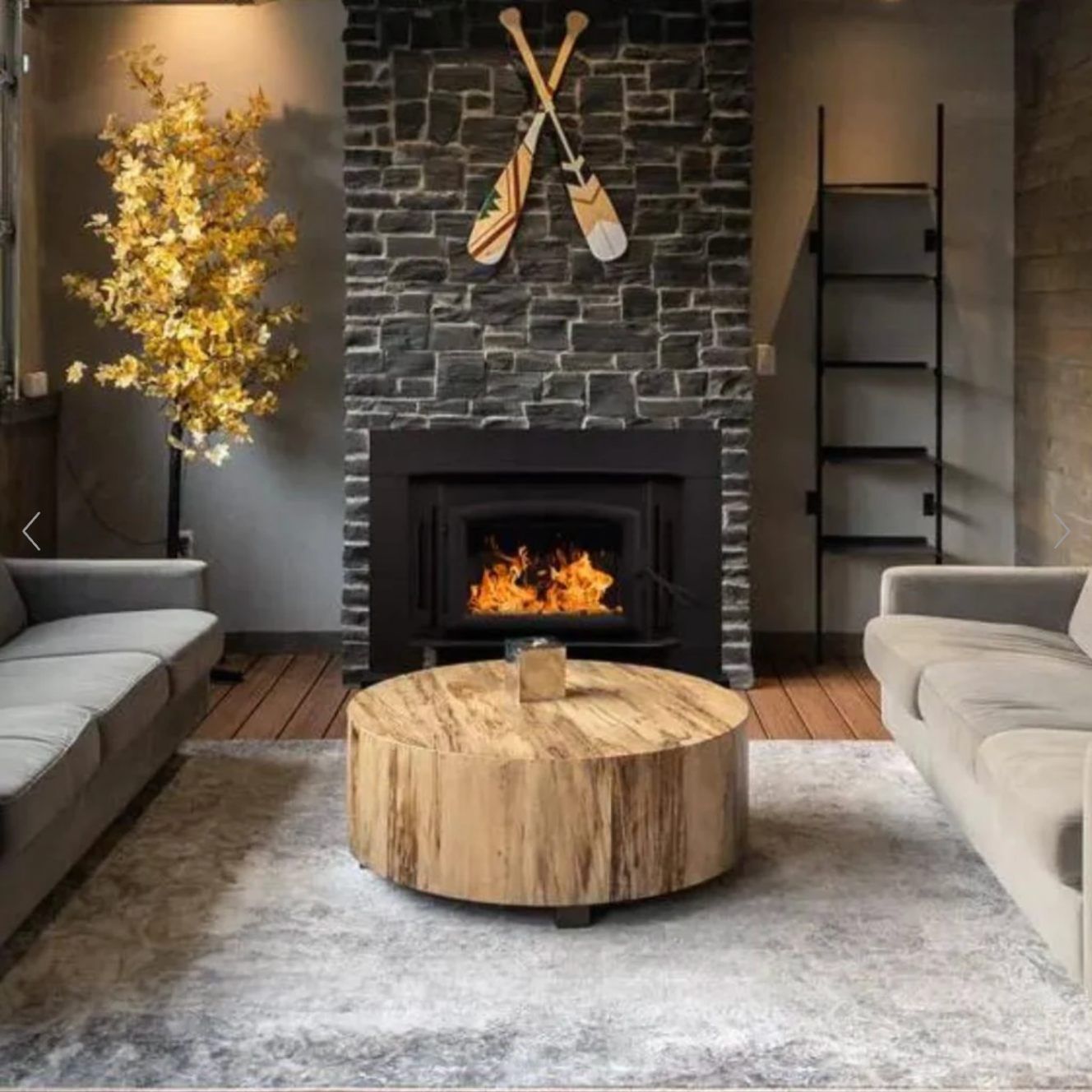 wood burning stove fireplace insert