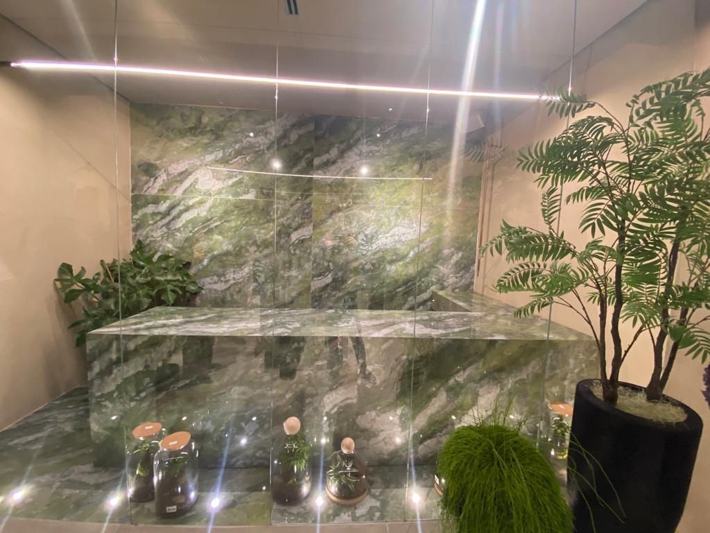 Una stanza con una parete verde, un tavolo e piante in vaso.