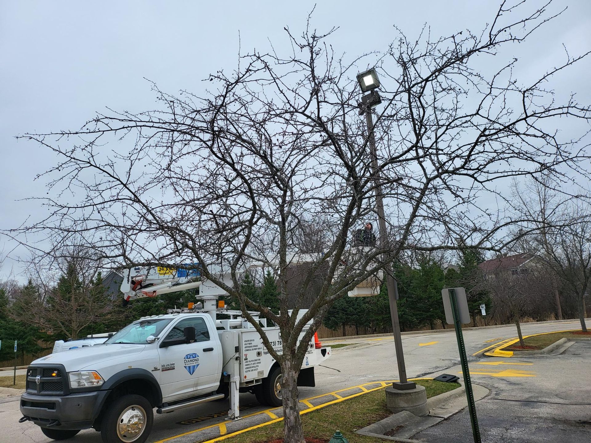 A white truck is parked next to a tree in a parking lot.