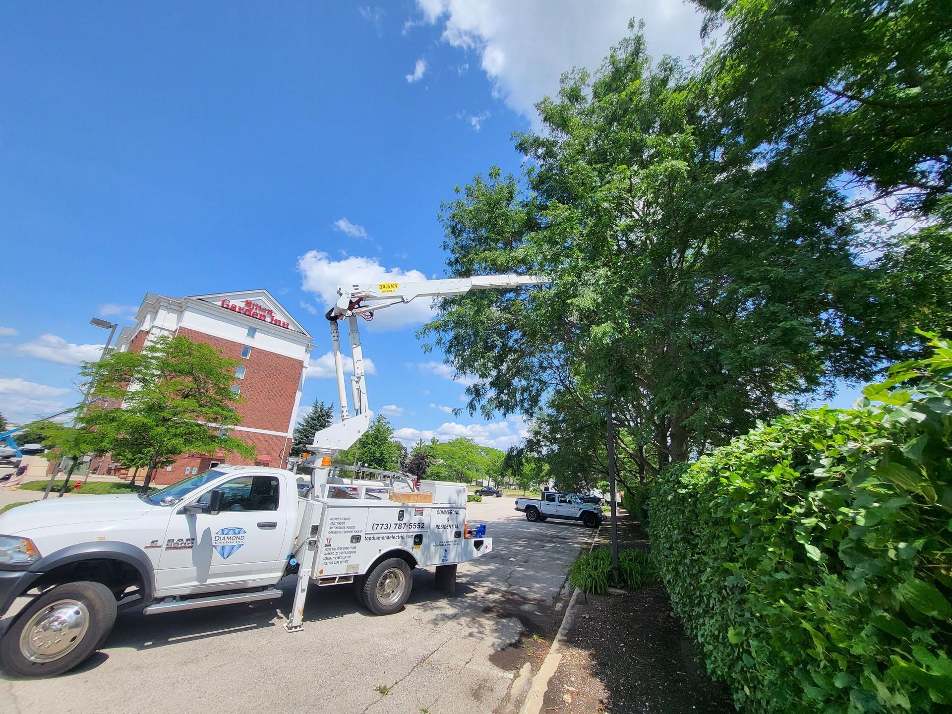 A white truck is parked on the side of the road next to a tree.