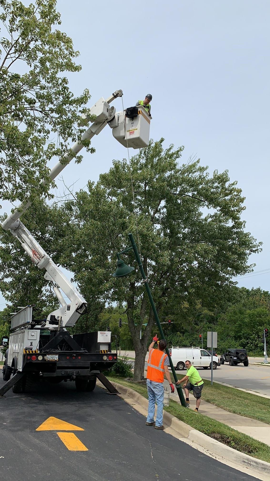 A man in a bucket is cutting a tree with a crane.