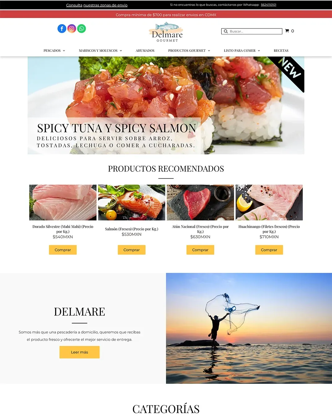 sitio web pagina web delmare