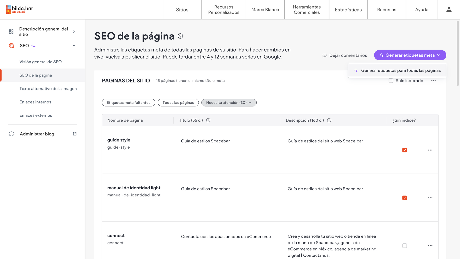 sitio web pagina web ia seo