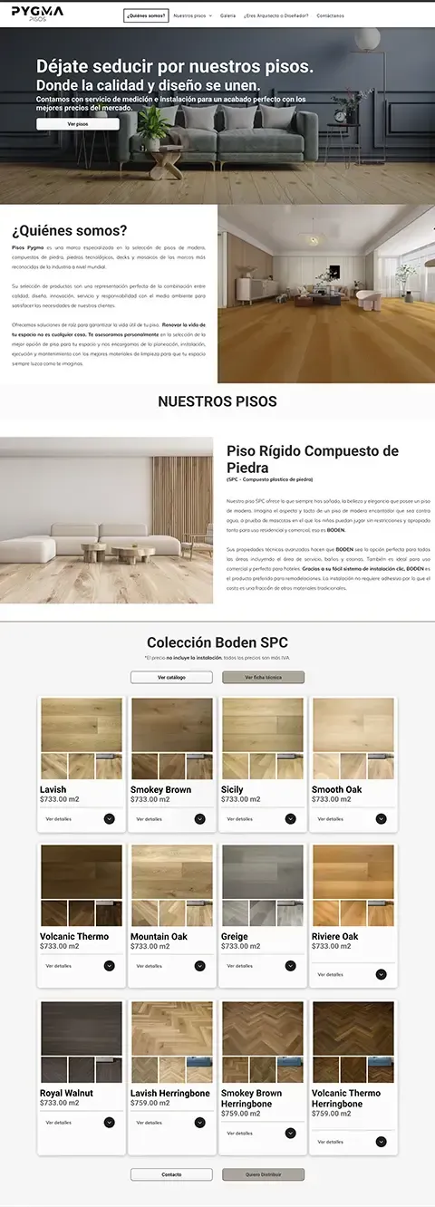 sitio web pagina web pygma