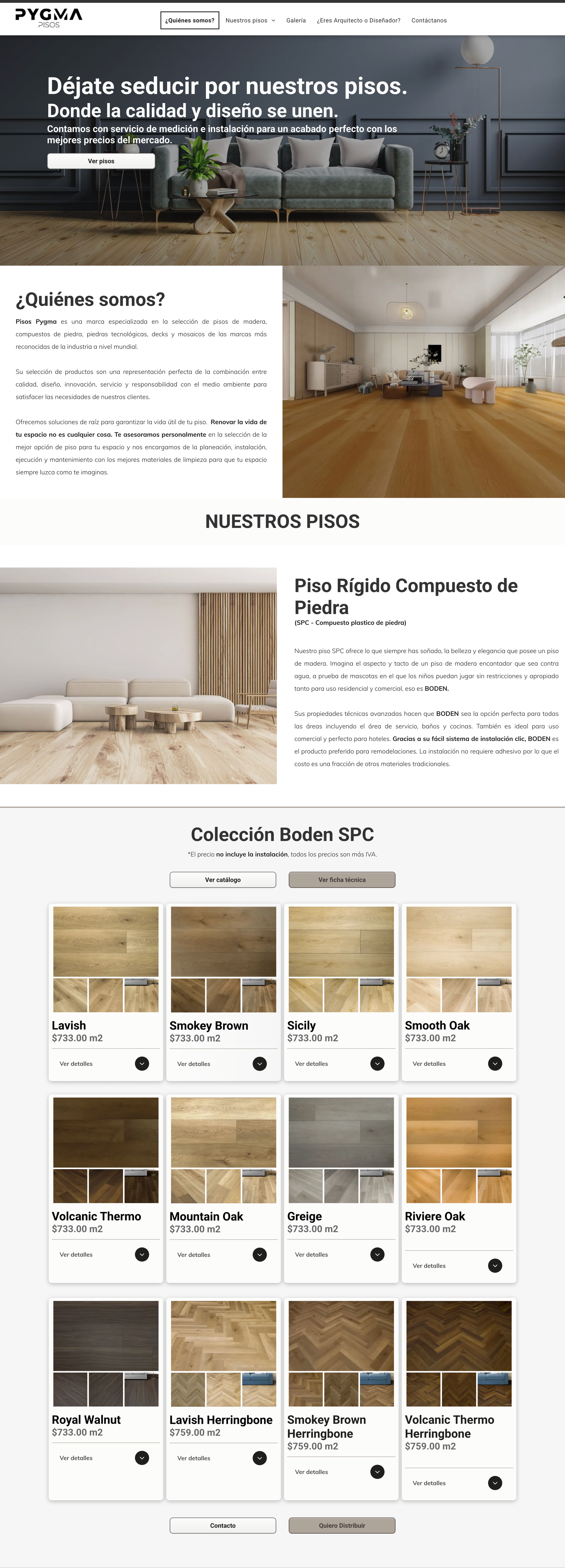 sitio web pagina web pygma