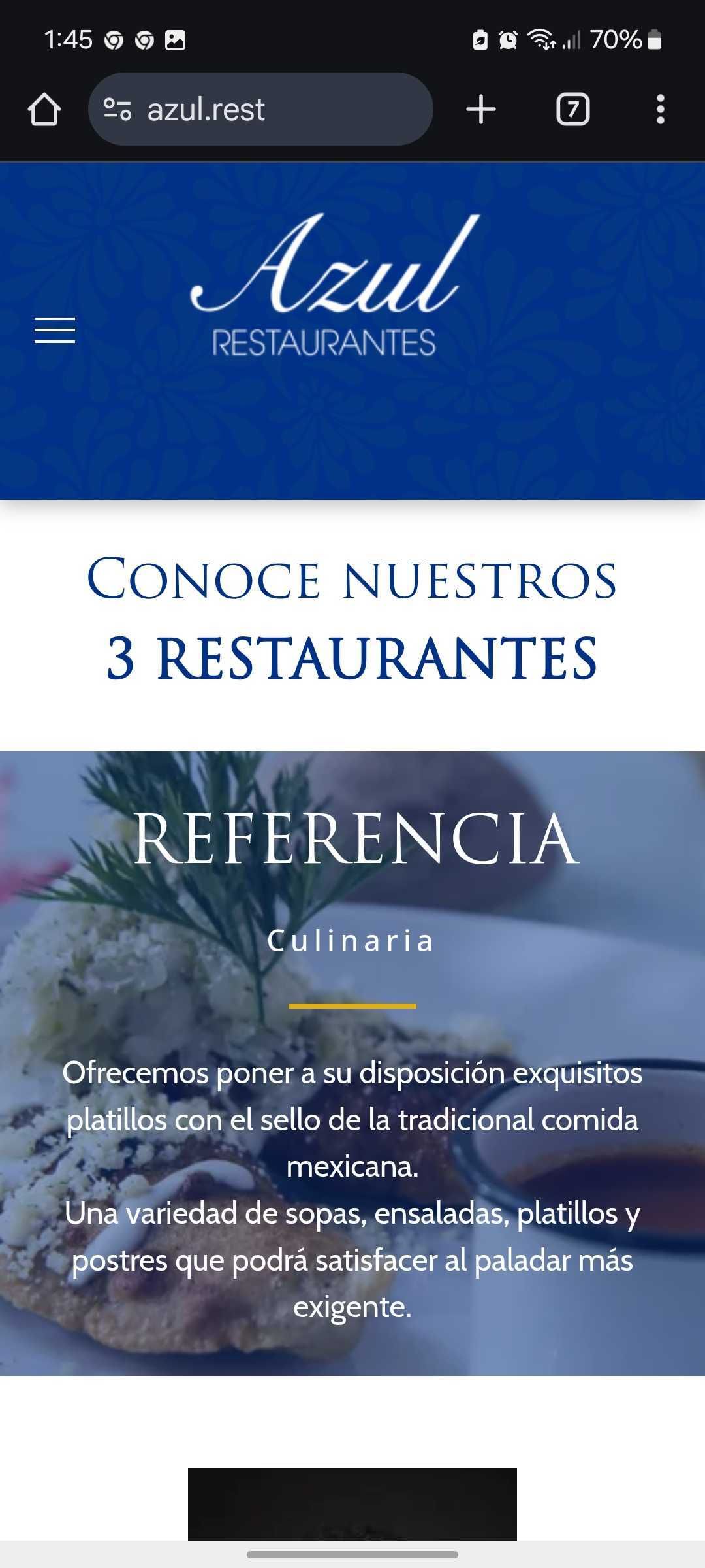 sitio web pagina webpublica