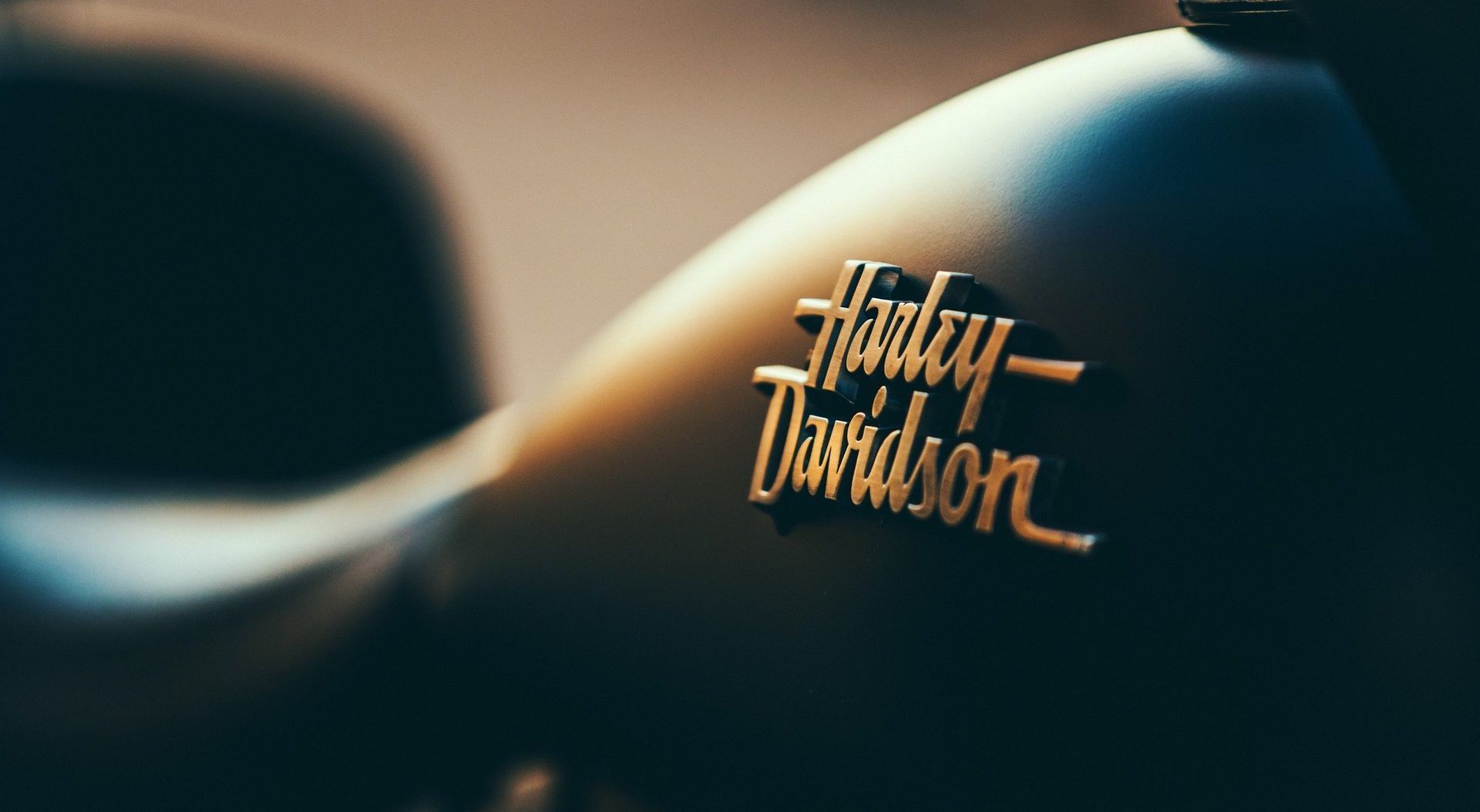 A close up of a harley davidson motorcycle tank