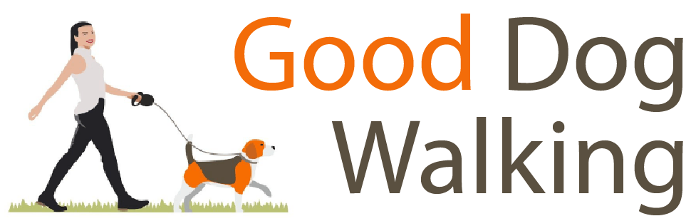 Good Dog Walking