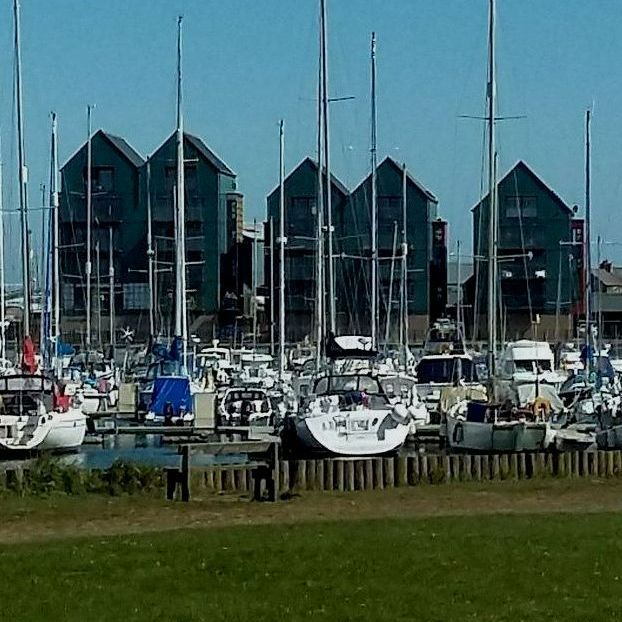 Good Dog Walking Services in the Amble area