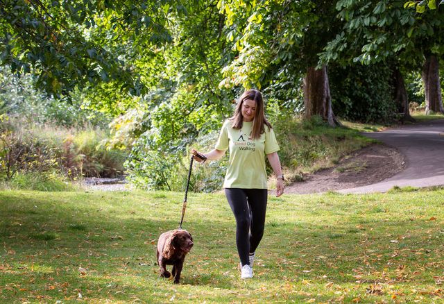 Dog Cat and Pet Care in the Morpeth Area
