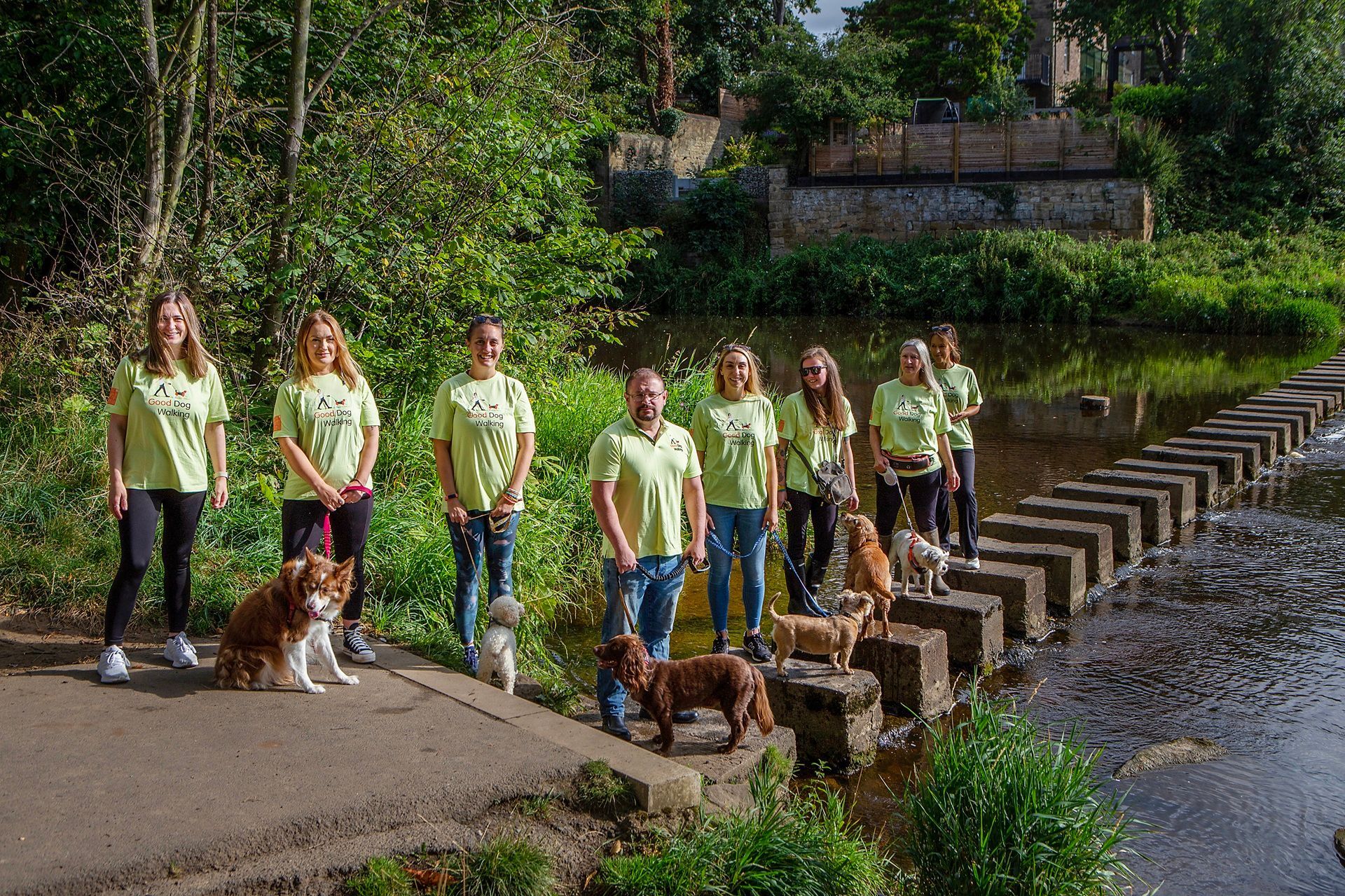 good-dog-walking-gosforth
