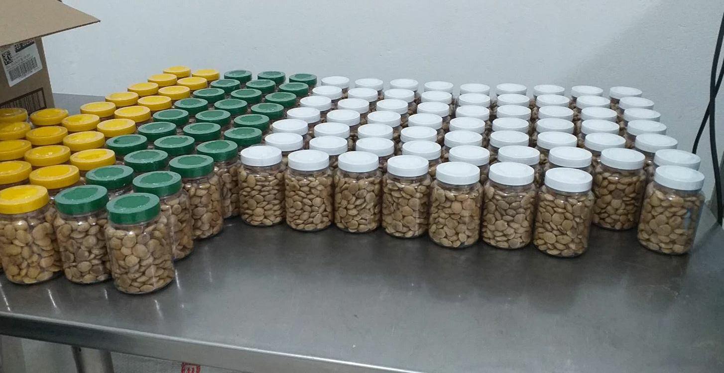 Agroincolsa S.A.S. almendras de sacha inchi