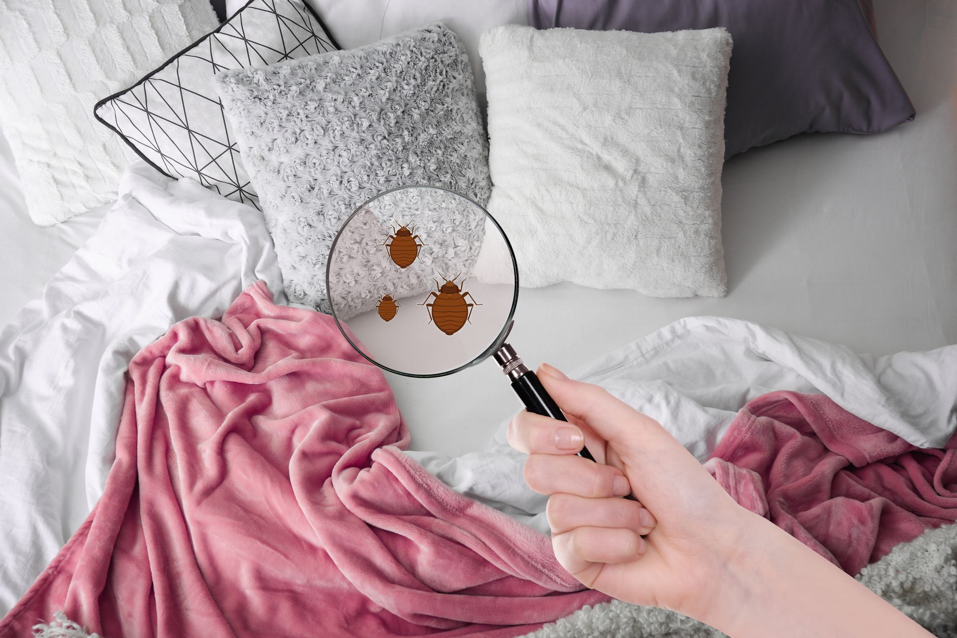 Woman with magnifying glass detecting bed bugs in bedroom.