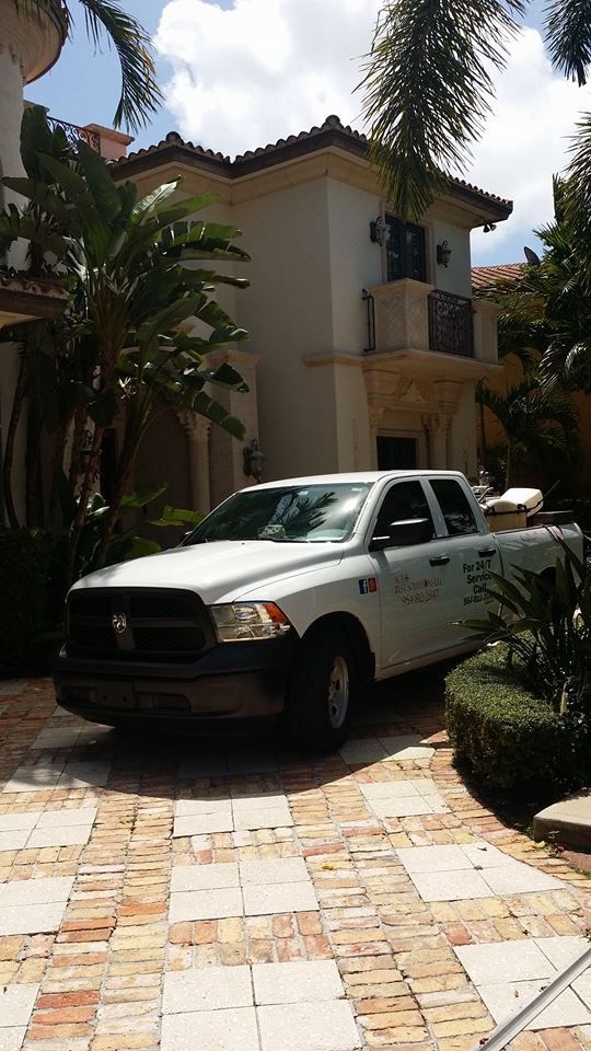 A beehive is hanging from a tree branch in a garden.