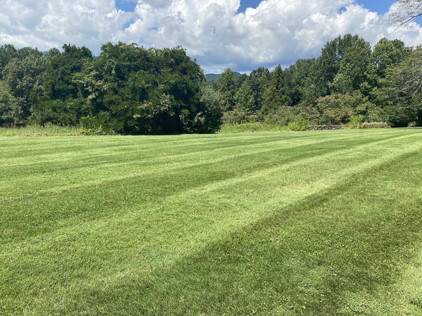 Professional Lawn Care Services Landrum SC Professional Lawn Care Services Landrum SC