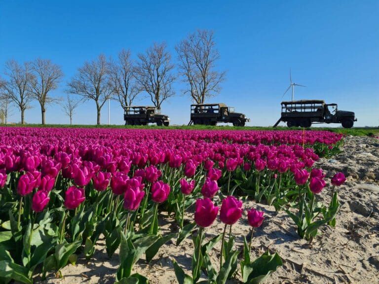 Tulpentours in legertrucks uit de 2e wereld oorlog
