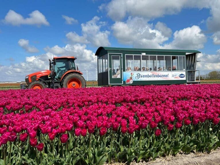 De bloembollenboemel